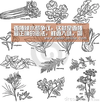 香椿焯水惹争议,这就是香椿最正确的做法,鲜香入味,简单清爽_亚博平台(图3) 亚博