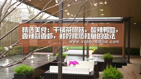 精选美食：干锅茶树菇，酸辣鸭血，香辣蒜香虾，鲜柠檬蒸桂鱼的做法‘亚博’